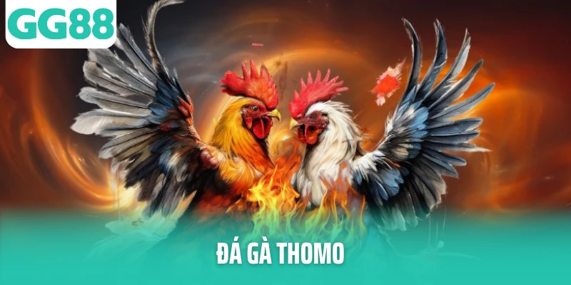 Ảnh đại diện Đá Gà Thomo