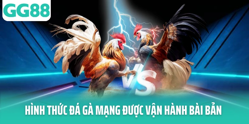 Hình thức đá gà mạng được vận hành bài bản